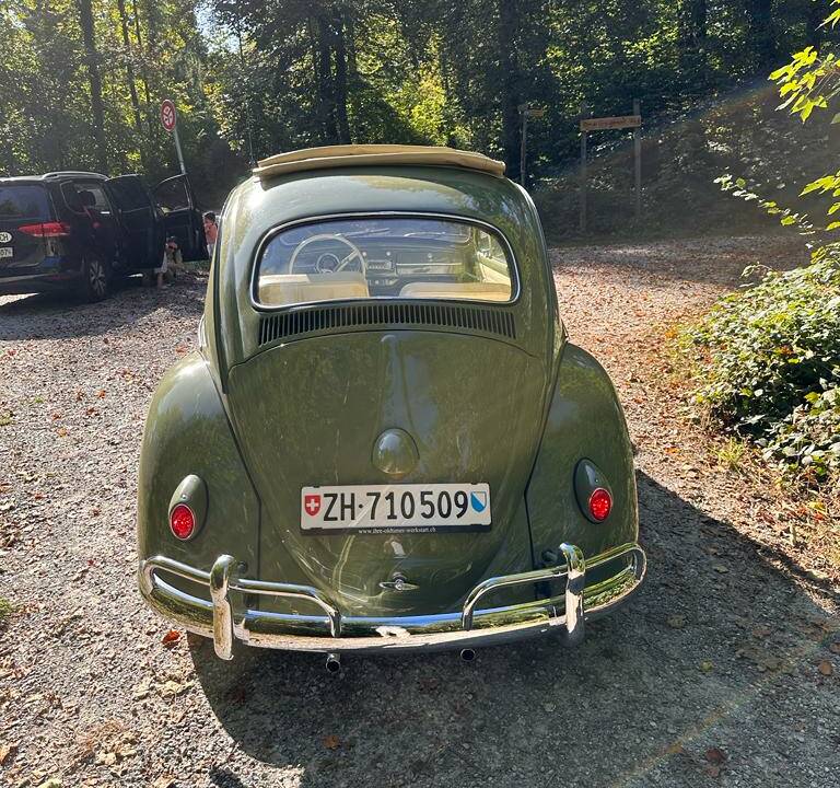 Bild 9/23 von Volkswagen Escarabajo 1200 (1960)