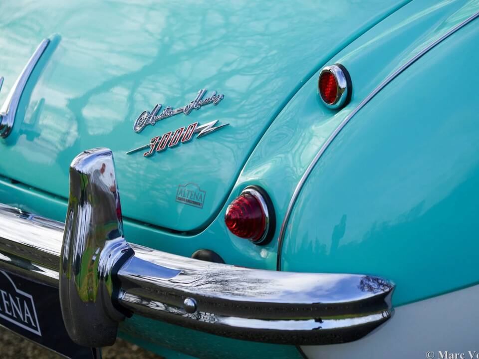 Immagine 39/48 di Austin-Healey 3000 Mk I (BN7) (1960)
