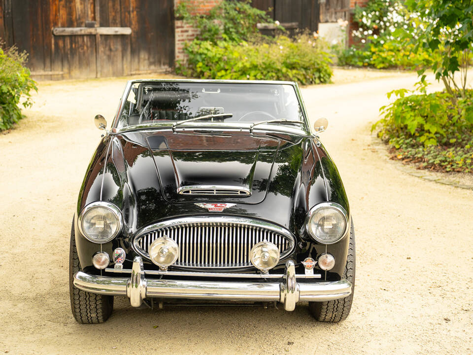 Image 17/62 de Austin-Healey 3000 Mk III (BJ8) (1965)