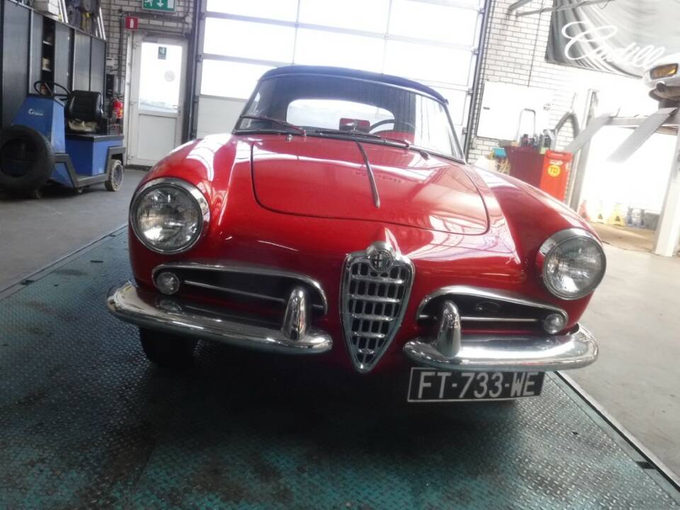 Bild 35/50 von Alfa Romeo Giulietta Spider (1961)