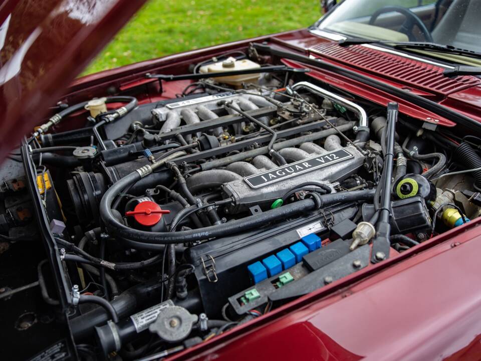 Bild 41/41 von Jaguar XJS 5.3 V12 (1992)
