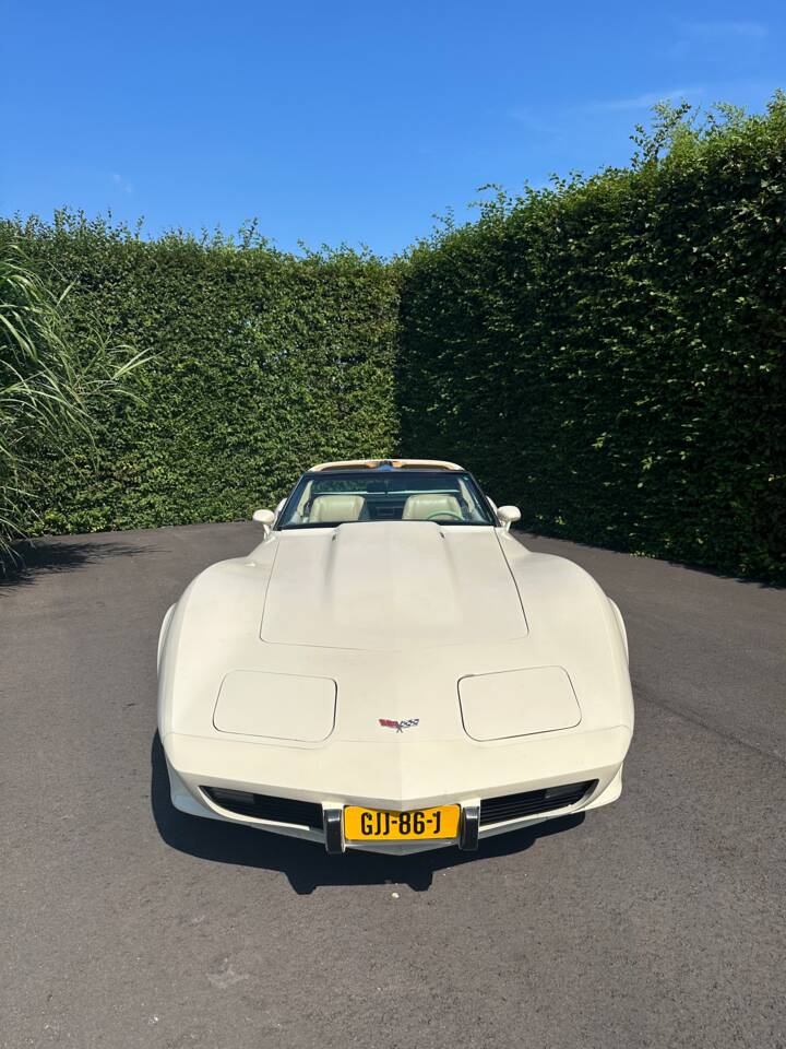 Image 5/21 de Chevrolet Corvette Stingray (1977)