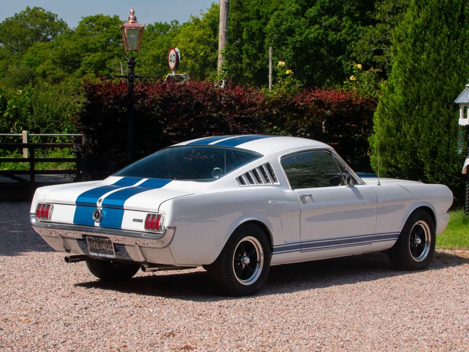 Image 12/54 of Ford Shelby GT 350 (1965)