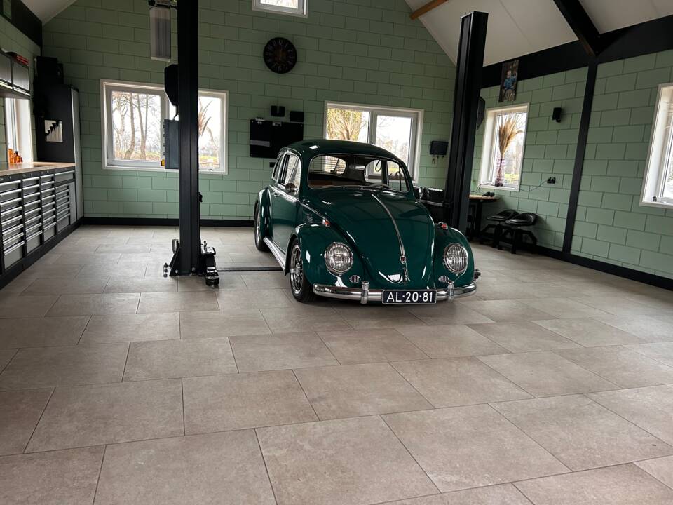 Bild 12/20 von Volkswagen Käfer 1200 Standard "Dickholmer" (1964)