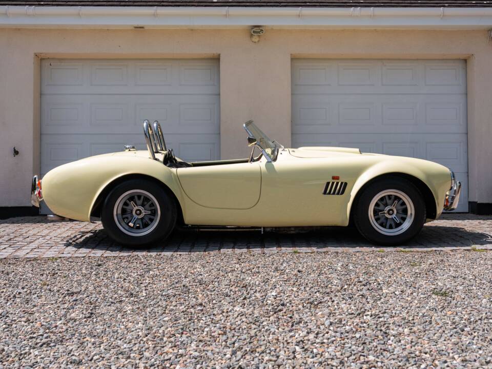 Bild 8/51 von AC Cobra 289 (1999)
