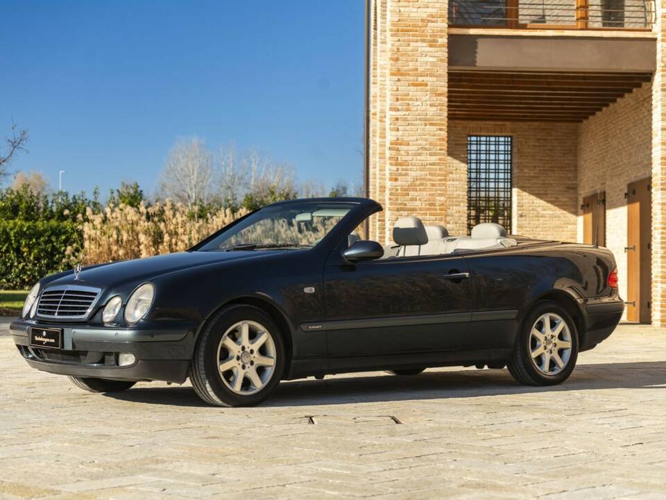 Bild 20/50 von Mercedes-Benz CLK 230 Kompressor (1999)