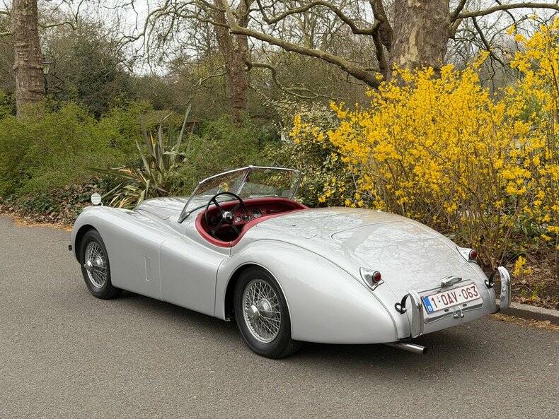 Image 42/50 of Jaguar XK 120 OTS (1953)