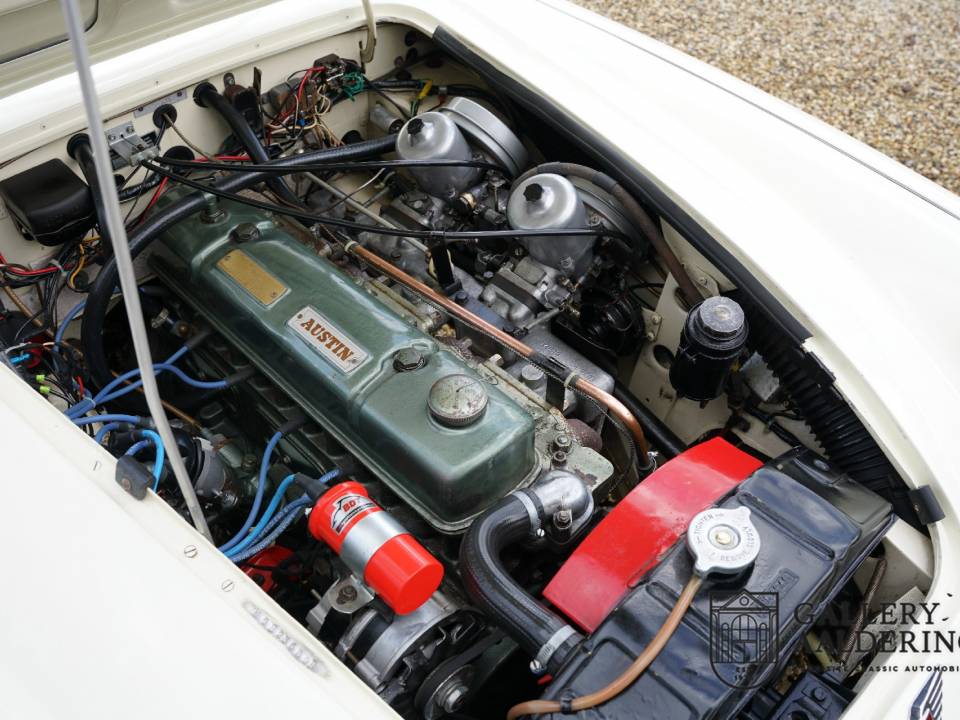 Imagen 37/50 de Austin-Healey 3000 Mk II (BJ7) (1963)