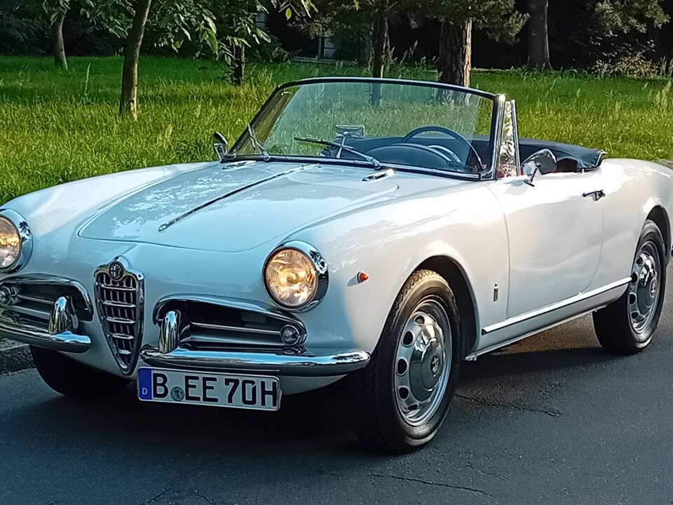 Afbeelding 2/53 van Alfa Romeo Giulietta Spider (1960)