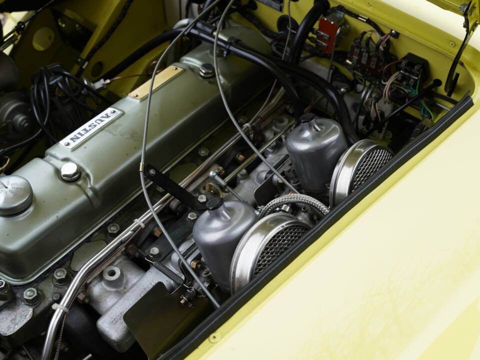 Bild 22/50 von Austin-Healey 3000 Mk I (BN7) (1960)
