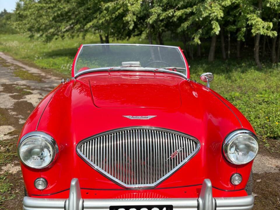 Bild 8/12 von Austin-Healey 100&#x2F;4 (BN1) (1954)