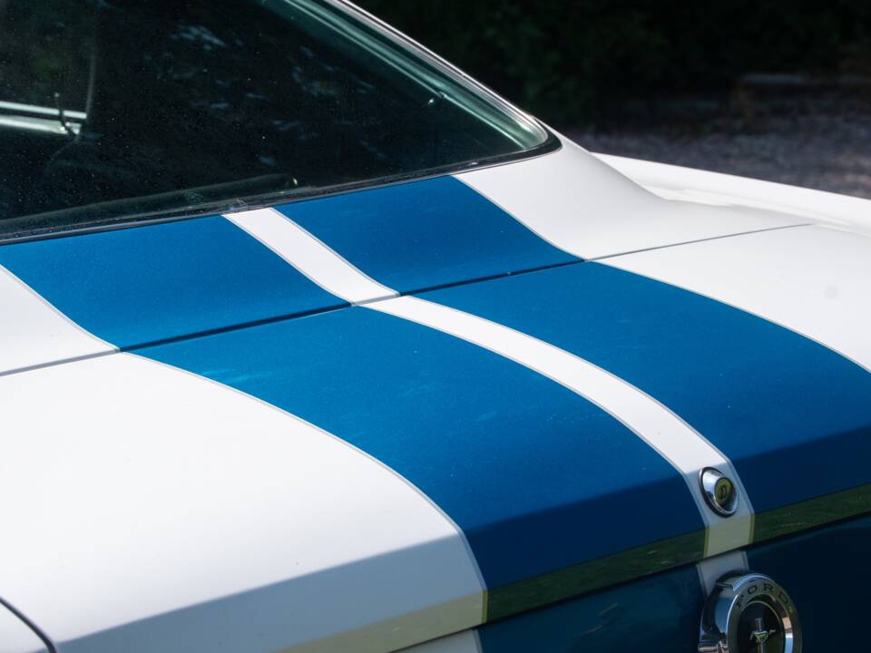 Bild 33/50 von Ford Shelby GT 350 (1965)