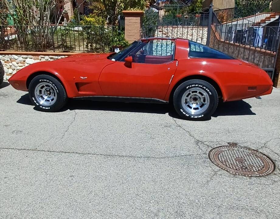 Image 6/12 de Chevrolet Corvette 25th Anniversary (1978)