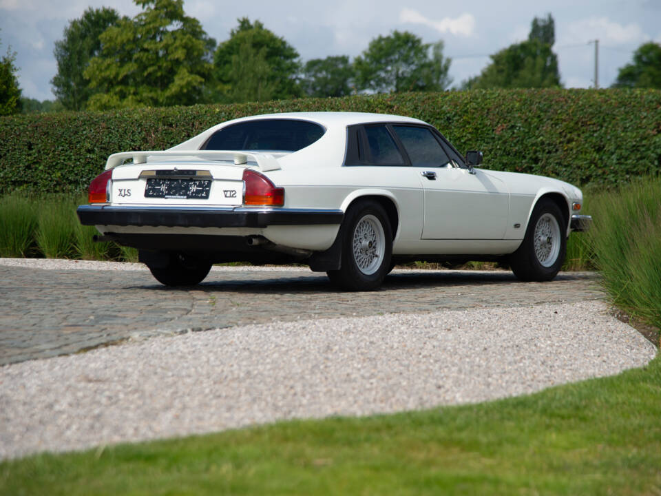 Image 6/39 of Jaguar XJS 5.3 V12 (1989)