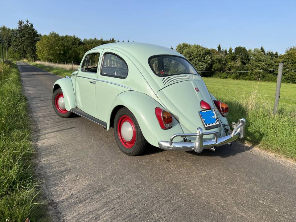 Bild 2/9 von Volkswagen Käfer 1200 (1964)