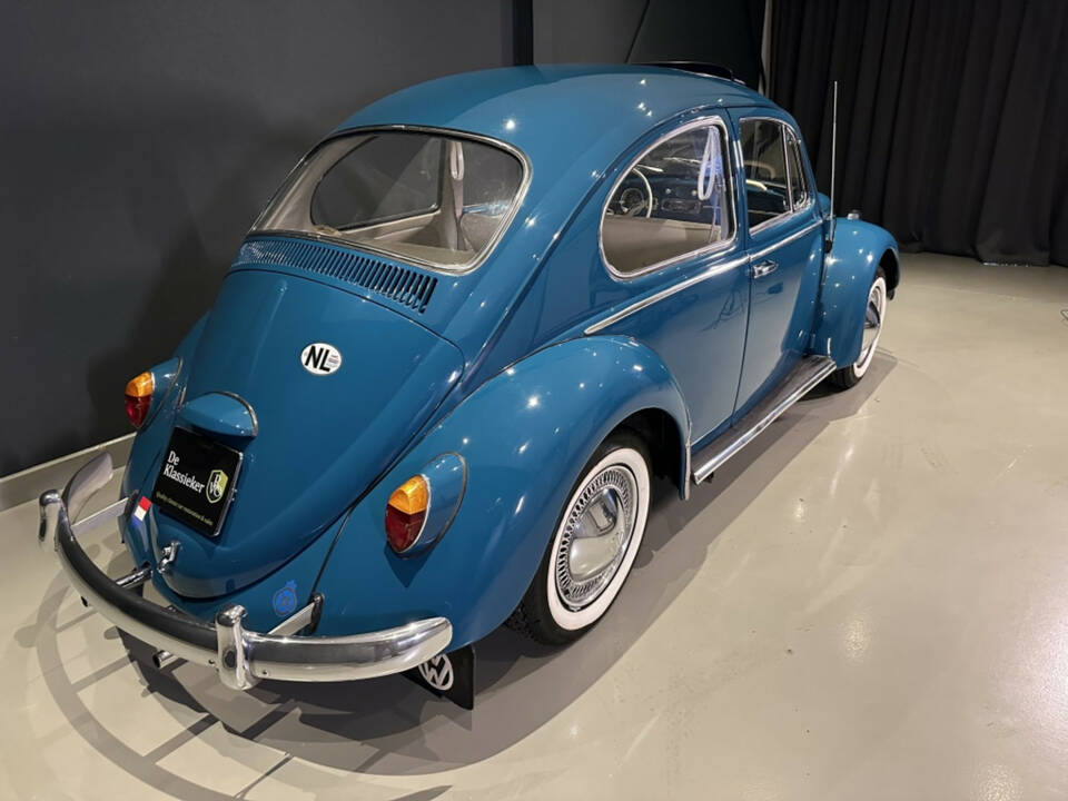 Bild 3/20 von Volkswagen Coccinelle 1200 A (1964)