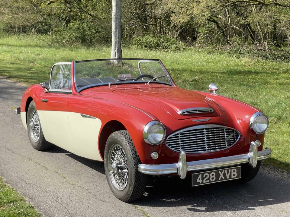 Bild 1/11 von Austin-Healey 3000 Mk I (BT7) (1959)