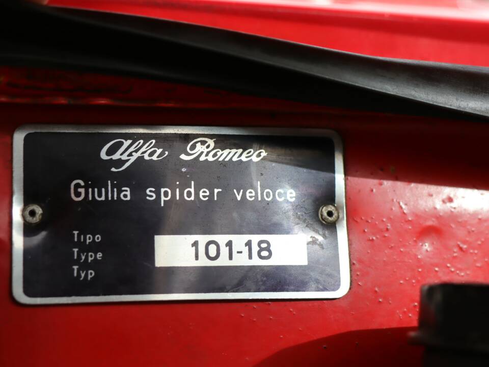 Bild 25/50 von Alfa Romeo Giulia 1600 Spider Veloce (1965)