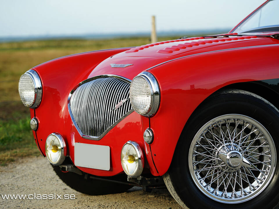 Bild 14/25 von Austin-Healey 100&#x2F;4 (BN1) (1954)