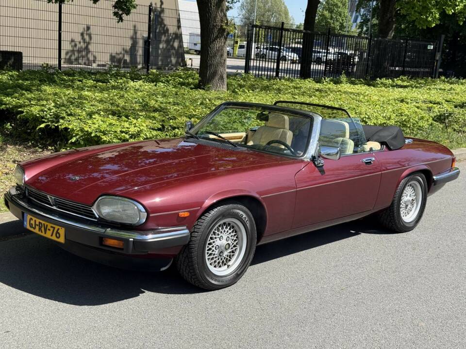 Bild 2/17 von Jaguar XJS 5.3 V12 (1989)