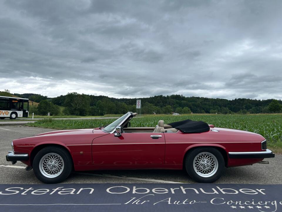 Image 8/40 of Jaguar XJS 5.3 V12 (1991)