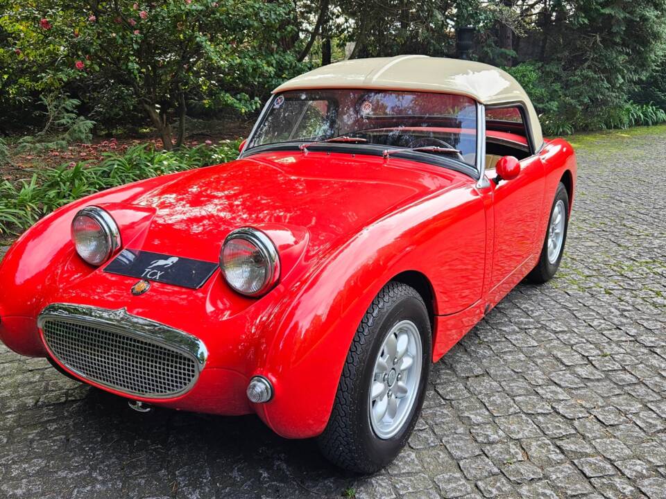 Image 8/11 of Austin-Healey Sprite Mk I (1961)