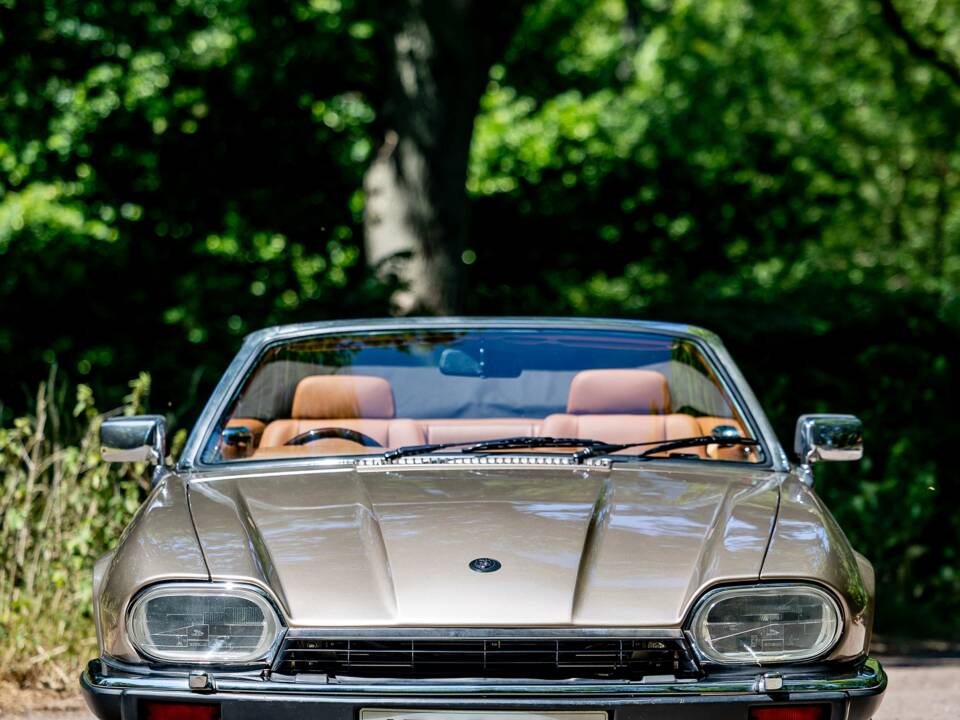 Afbeelding 11/50 van Jaguar XJS 6.0 V12 (1992)