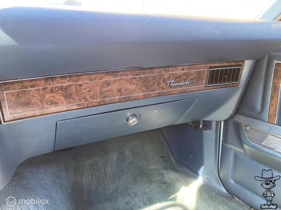 Afbeelding 17/29 van Ford Thunderbird (1979)