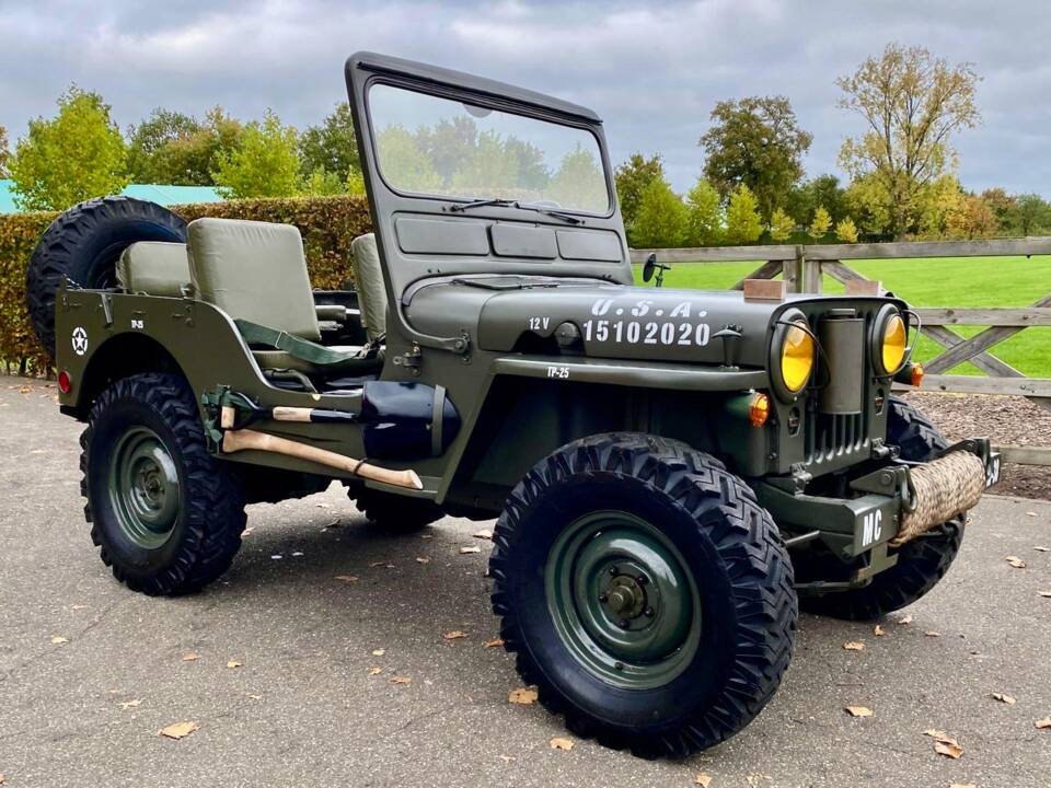 Immagine 2/16 di Willys Jeep M38 A1 (1952)