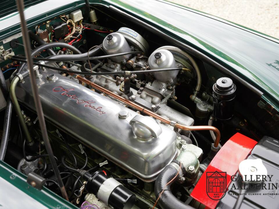 Afbeelding 50/50 van Austin-Healey 3000 Mk III (BJ8) (1966)