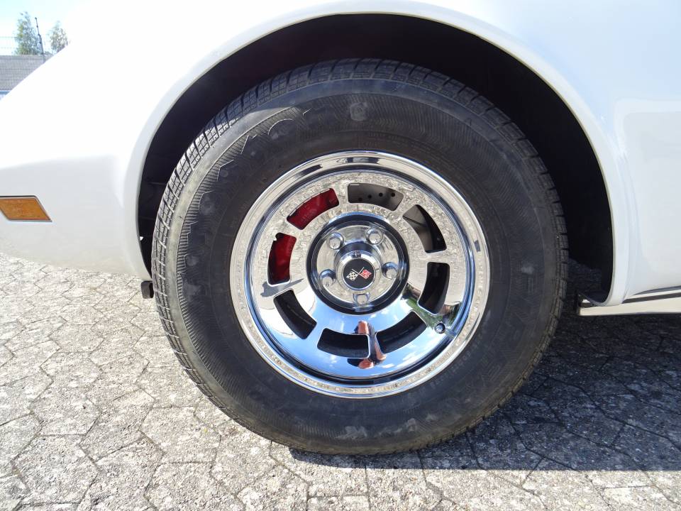 Bild 12/50 von Chevrolet Corvette Stingray (1976)