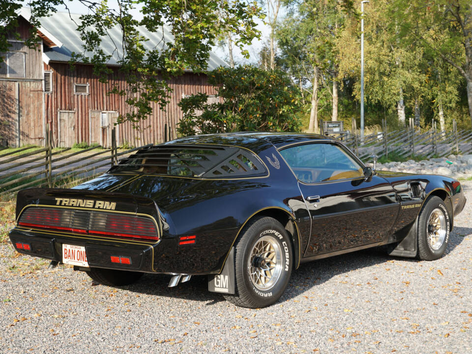 Image 14/69 of Pontiac Firebird TransAm (1979)