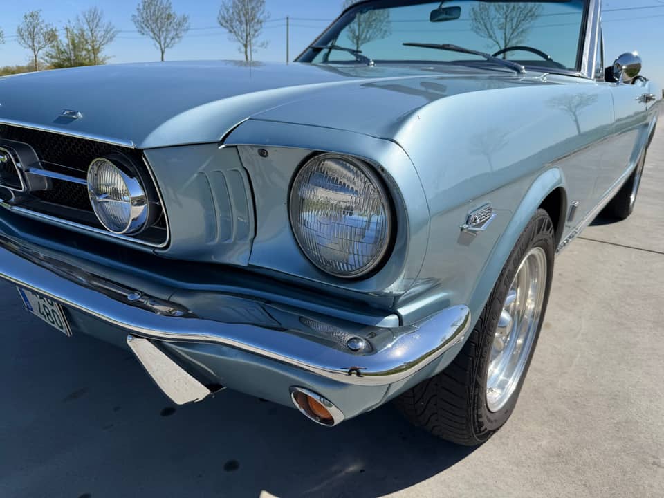 Bild 63/99 von Ford Mustang 289 (1965)
