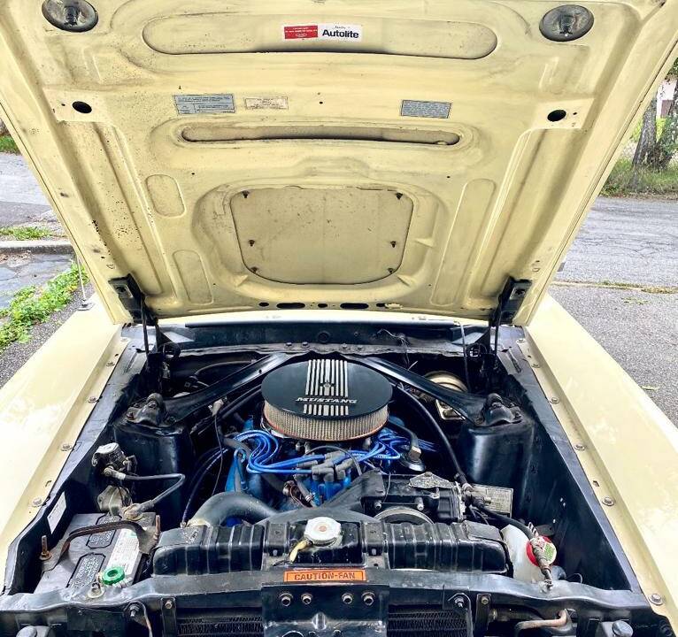 Image 4/9 of Ford Mustang 302 (1969)