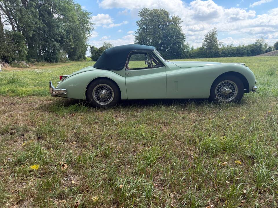 Image 5/23 of Jaguar XK 140 SE DHC (1955)