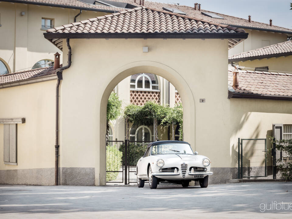 Image 8/71 de Alfa Romeo Giulietta Spider (1960)