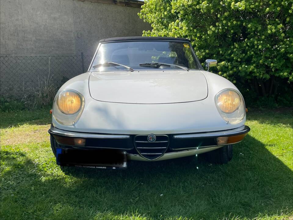 Bild 9/29 von Alfa Romeo Spider 1300 Junior (1971)