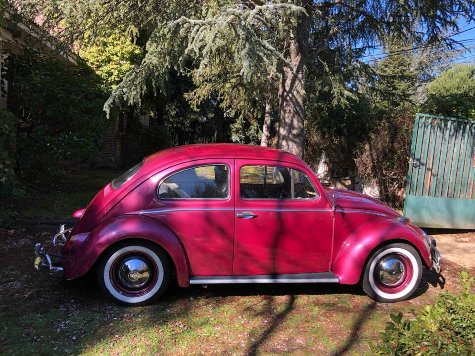 Imagen 7/15 de Volkswagen Käfer 1200 Standard &quot;Ovali&quot; (1956)