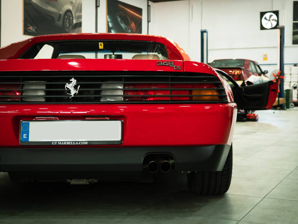 Bild 8/33 von Ferrari 348 TS (1990)