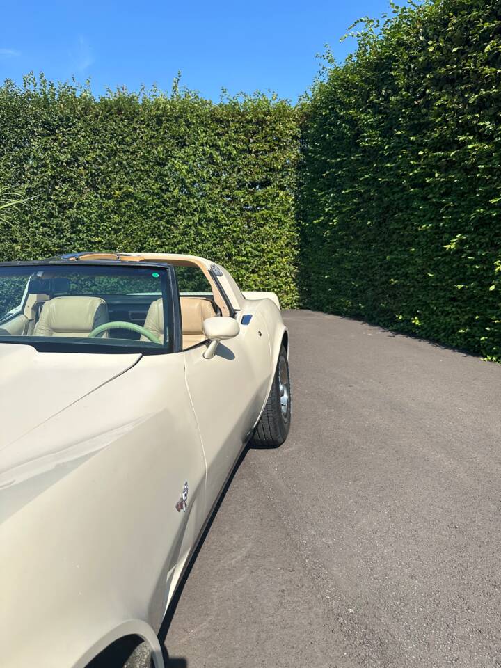 Image 21/21 de Chevrolet Corvette Stingray (1977)