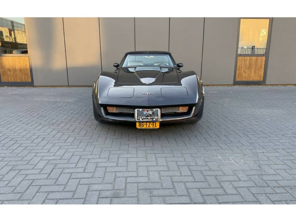 Bild 6/14 von Chevrolet Corvette Sting Ray (1981)