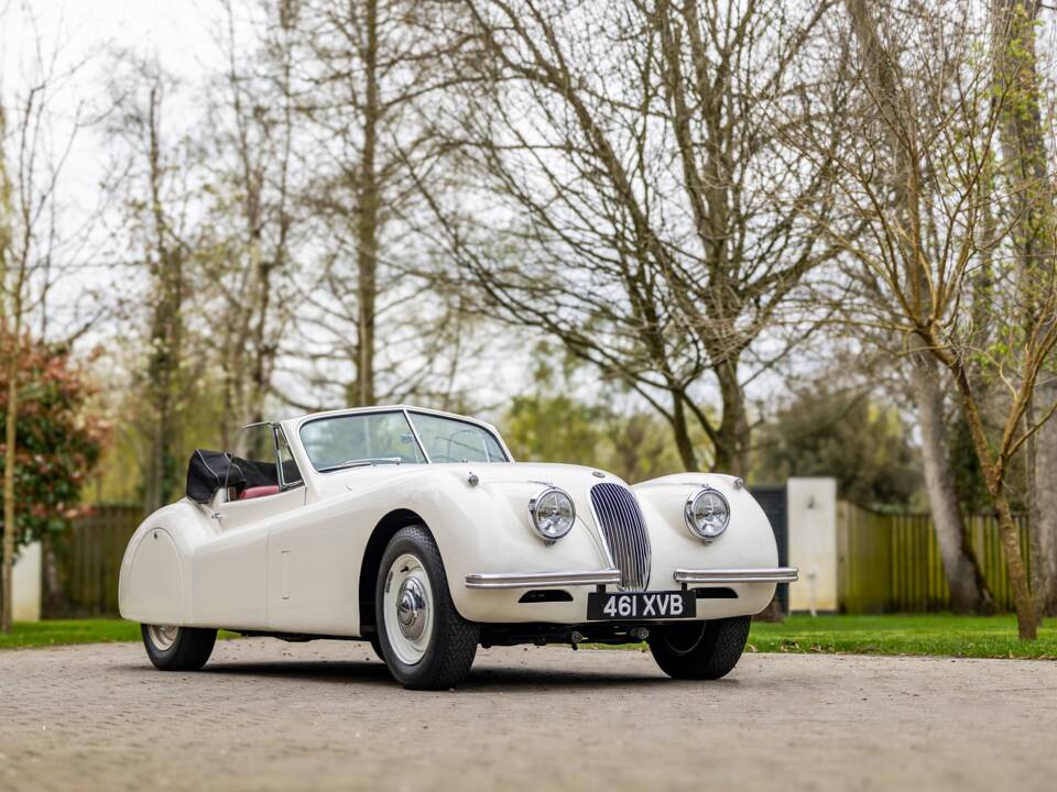 Image 17/50 of Jaguar XK 120 DHC (1953)