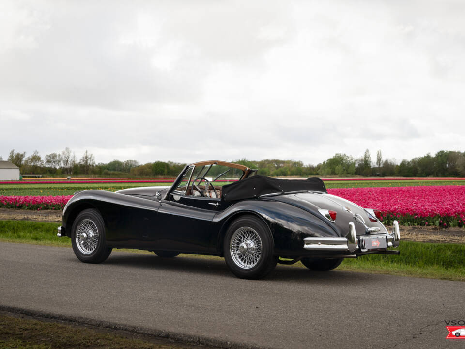 Afbeelding 5/47 van Jaguar XK 140 DHC (1956)