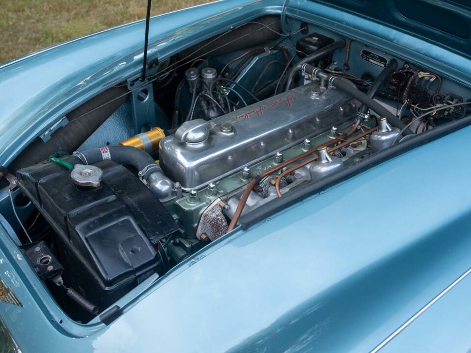 Bild 13/50 von Austin-Healey 100/6 (BN4) (1956)