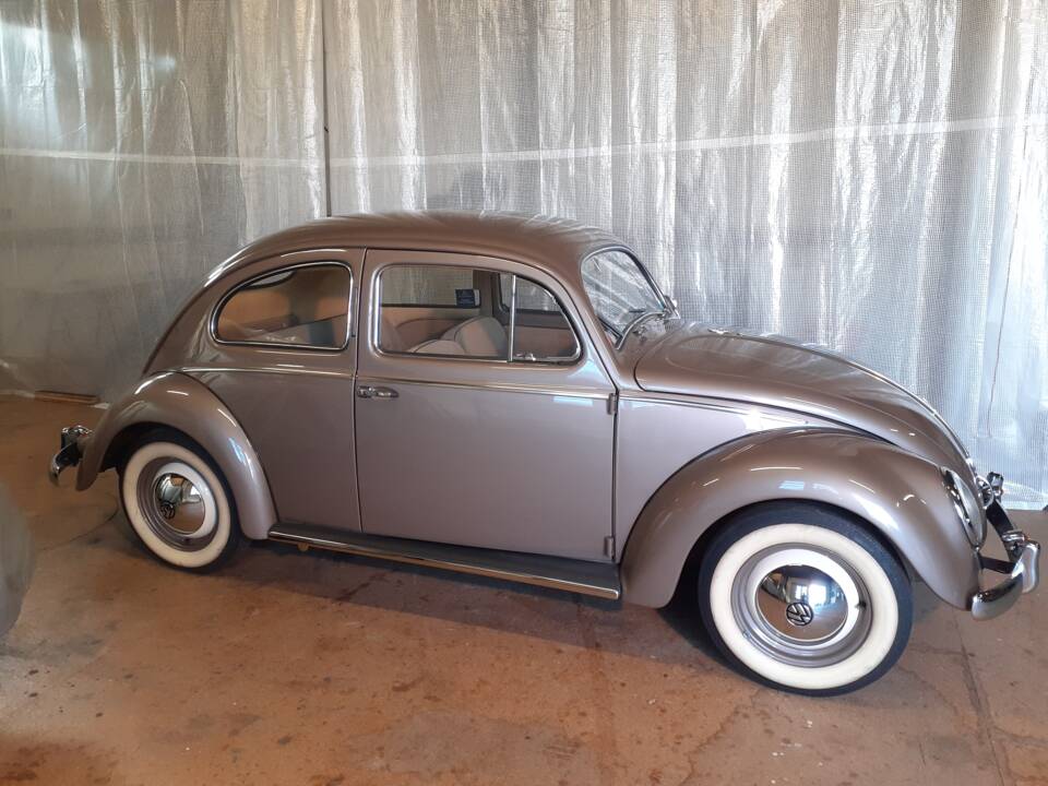 Image 6/79 of Volkswagen Beetle 1200 Export &quot;Oval&quot; (1954)