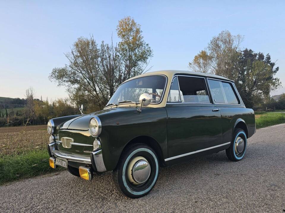 Image 31/67 of Autobianchi Bianchina Panoramica (1969)