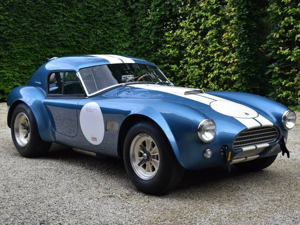 Bild 10/35 von AC Cobra 289 (1965)