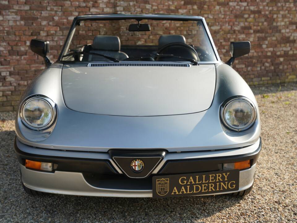 Afbeelding 5/50 van Alfa Romeo 2.0 Spider QV (1987)