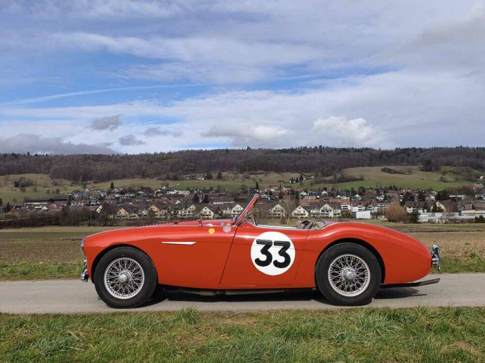 Bild 3/24 von Austin-Healey 100/4 (BN1) (1955)