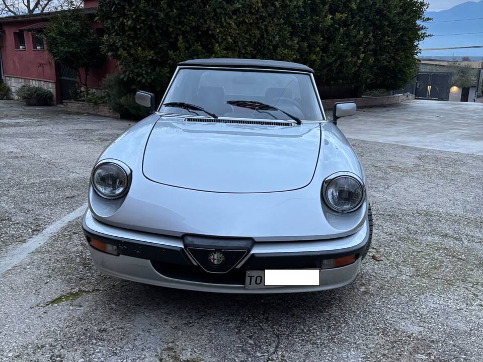 Immagine 1/22 di Alfa Romeo Spider Quadrifoglio (1985)